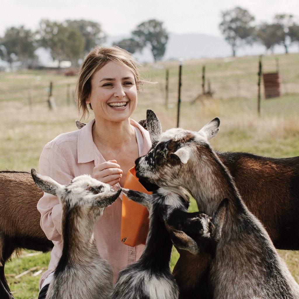 BullerRoo Luxury Farmstay goats